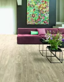 Moduleo Transform Chester Oak 24229