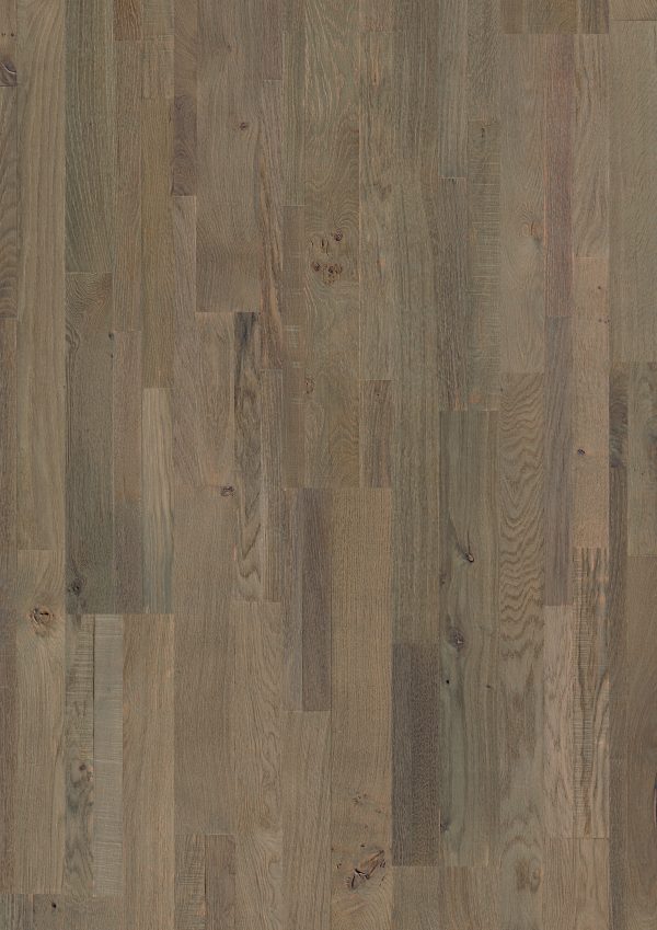 Three-layer parquet Quick-Step Variano Royal grey oak oiled VAR1631S