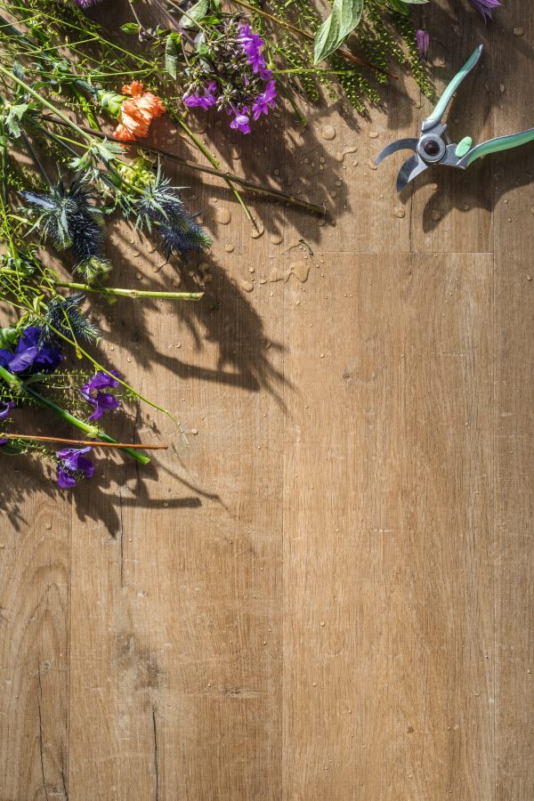 Vinila grīda Quick-Step Bloom Cotton oak natural AVMPU40104