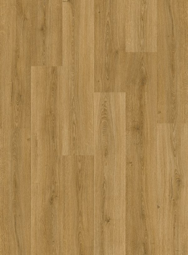 Vinyl flooring Quick-Step Alpha Botanic smoked oak AVMPU40238