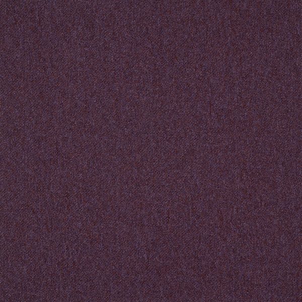 paklajflizes-ivc-creative-spark-478