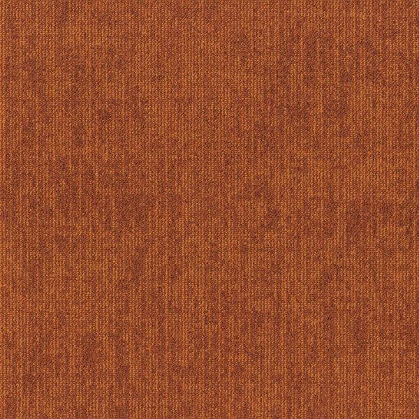 paklajflizes-ivc-rudiments-jute-273