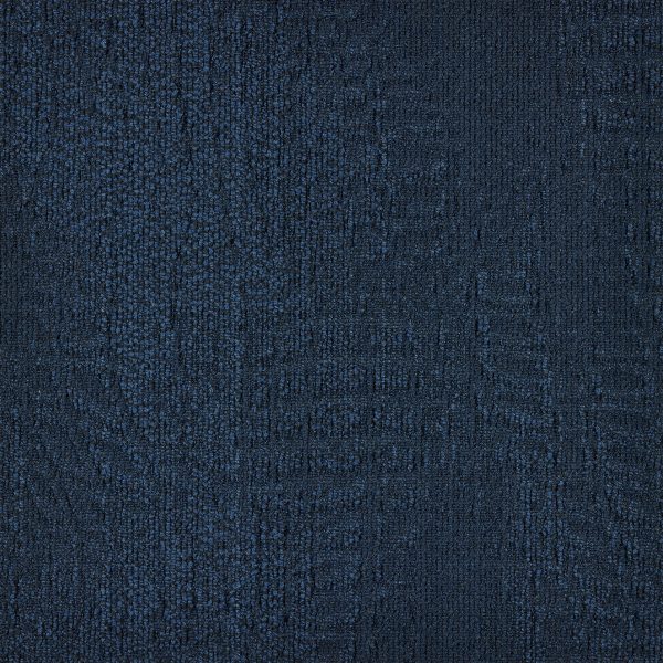 paklajflizes-ivc-immersion-alternate-543