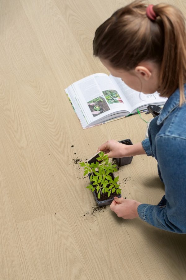 Vinyl flooring Quick-Step Blos Buttermilk oak AVSPU40277
