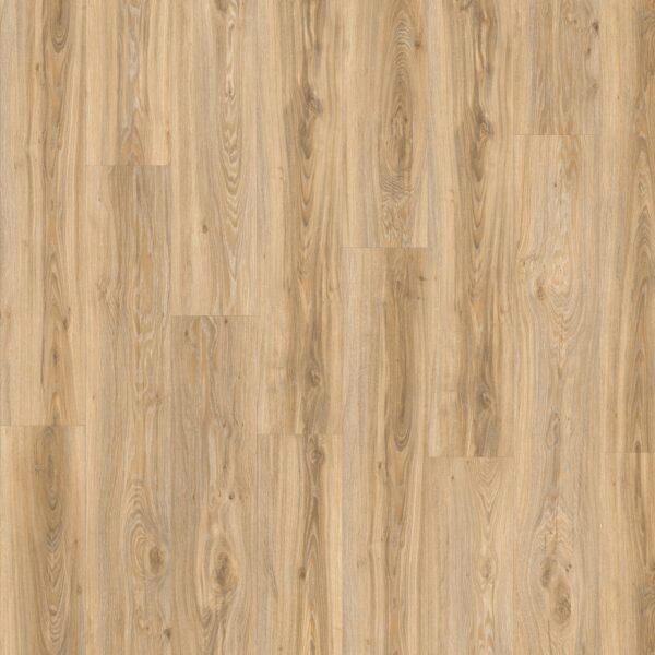 Vinila grīda Moduleo Roots Blackjack Oak 22220