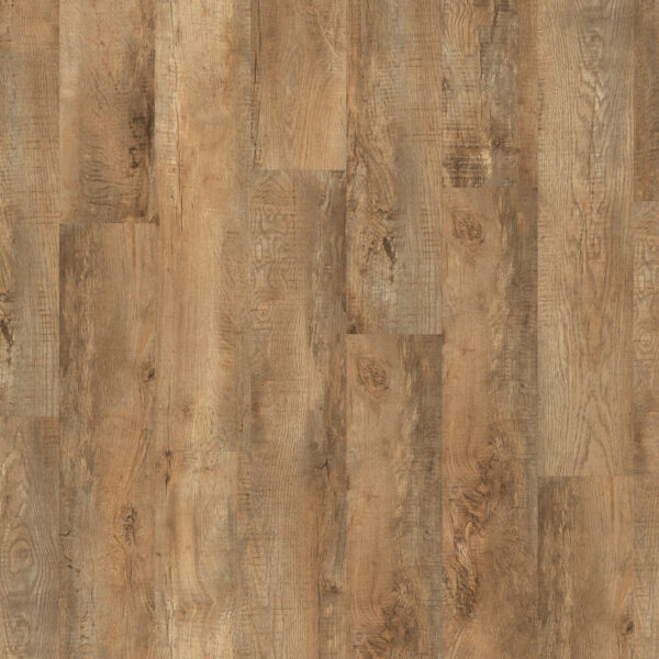 Vinila grīda Moduleo Roots Country Oak 54852