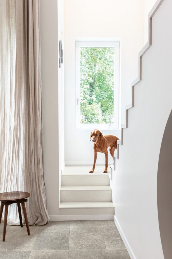 Quick-Step lamināts Muse Dusky bluestone MUS5485 32. klase