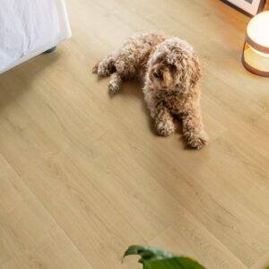 Quick-Step lamināts Capture Brushed oak natural SIG4763 32. klase